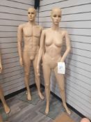 Male and female dress mannequin