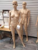 Male and female dress mannequin