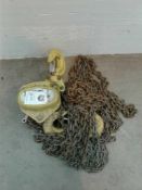 3 ton chain hoist single point