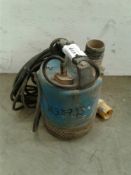 Submersible pump 110 V