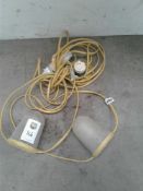 Festoon lights 110 V