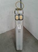 Twin fluorescent work light