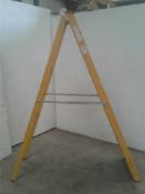 10 tread step ladders