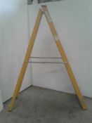 10 rung step ladders