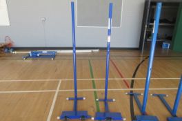 A pair of weighted net stands