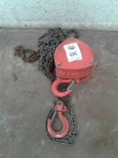 Tiger 1 ton single-point chain hoist