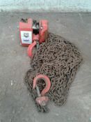 Tiger 1 ton single point chain hoist