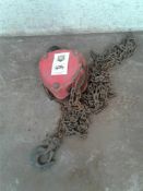 1 ton chain hoist single point