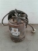Submersible pump 110 V