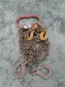 2 point lifting chain