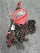 Tiger chain hoist single point