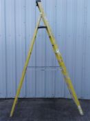 10 tread fibreglass step ladders