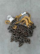 2 point lifting chain