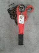 Tiger lever chain hoist