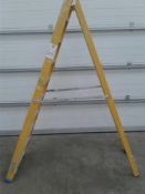 10 tread fibreglass step ladders
