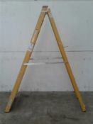 10 tread fibreglass step ladders