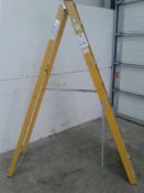 10 tread fibreglass step ladders