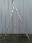10 tread alloy platform step ladders