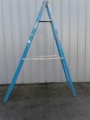 10 tread fibreglass step ladders
