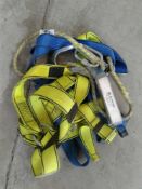 Safety harness