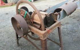 Benthall Wheat Chafer