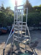 Alloy ladder workframe on wheels, platform including steady legs