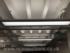 19x Suspended ceiling lights