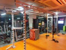 Functional Training Rig with Monkey Bars