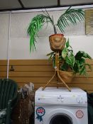 Modern bamboo planter stand and a wooden stepladder