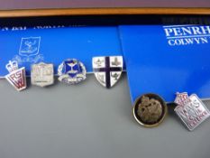 WWI gold colour Tank Corps badge, five further school, WRVS and other badges, a framed print of