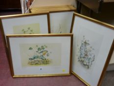 Set of nine gilt framed British birds in a limited edition, painted for Royal Worcester porcelain by