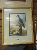ADRIAN C RIGBY gouache - Peregrine Falcon perched on a rock, 29 x 21 cms