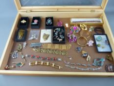 Modern jewellery display case and contents including a Lea Stein fox brooch, Celtic 'C Gems'