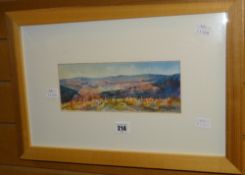 N R HAWKSWORTH watercolour mountain scene, signed & dated 2001, 10 x 25.5cms Condition reports are