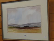 COLIN RADCLIFFE watercolour - farmland entitled verso 'Above Llaniri' 33.5 x 48cms Condition reports