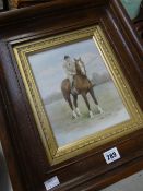 Framed watercolour of a show horse & rider, signed H COLLIER in good antique frame Condition reports