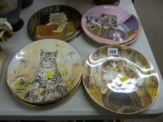 Collection of cat decorated collector's wall plates