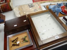 A parcel of important event newspapers, two display cases, wooden box, butterfly display ETC