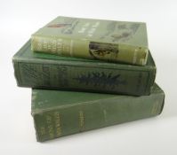 A parcel of Welsh wildlife books including Bird Life in Wild Welsh, Wildlife in Wales & Fauna of