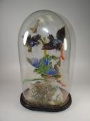 An antique display of three taxidermy bird specimens perched in foliage under a glass dome Condition