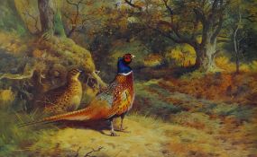 ARCHIBALD THORBURN limited edition (109/850) print - two pheasants in woodland with another in a