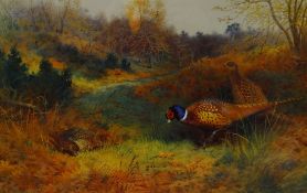 ARCHIBALD THORBURN limited edition (9/850) print - three pheasants feeding on grassland, 32 x 50cms