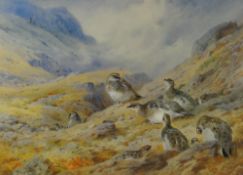 ARCHIBALD THORBURN limited edition (109/850) print - Scottish scene with game birds on the ground