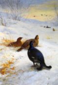 ARCHIBALD THORBURN limited edition (109/850) print - game birds in the snow with ducks in flight, 50