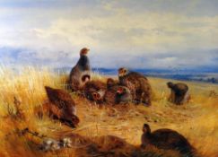 ARCHIBALD THORBURN limited edition (109/450) print - nest of game birds on open grassland, 35 x
