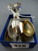 Parcel of various silver souvenir spoons (eight)