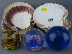 Ten undecorated scallop shells and three small paperweights including a Caithness Collector's