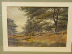 C W F S? watercolour - woodland scene, 24 x 34 cms
