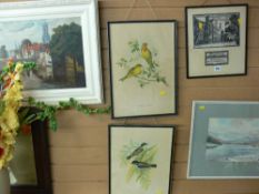 Pair of exotic bird prints, D B MOSSMAN watercolour - alpine scene, an unsigned watercolour -