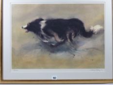 WILLIAM SELWYN limited edition (118/500) print - sheepdog, signed in pencil, 40 x 56 cms